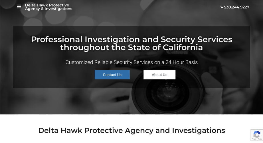 delta hawk protective agency and investigations